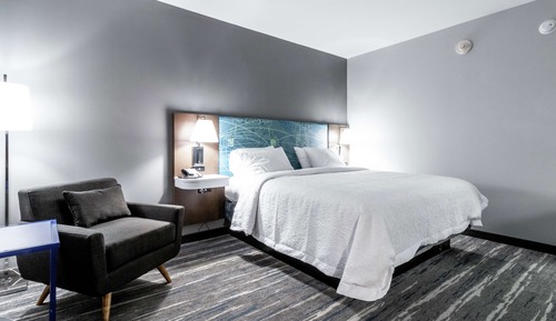 Room, 1 King Bed, Non Smoking