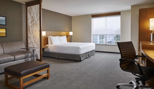 Room, 1 King Bed with Sofa bed, River View