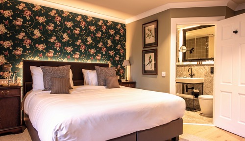 Room, 1 King Bed (Courtyard)