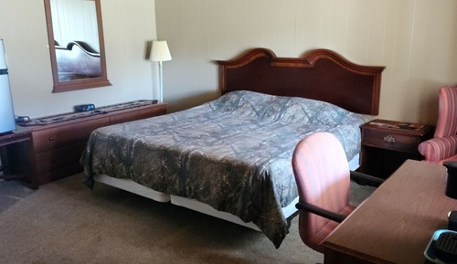 Standard Room, 1 King Bed, Non Smoking, Mountain View