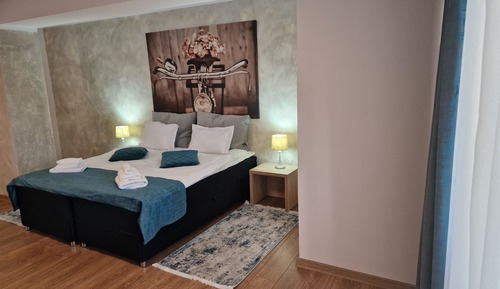 Superior Double or Twin Room