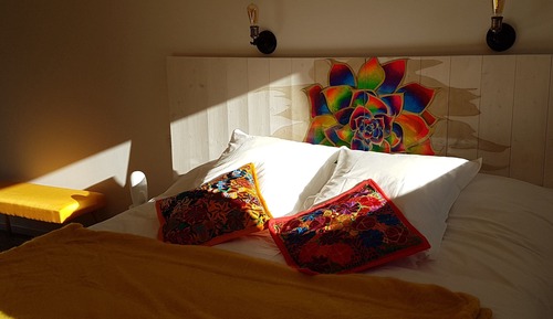 Premium Double or Twin Room, Private Bathroom, Garden View (Handicap - Guanajuaoto)