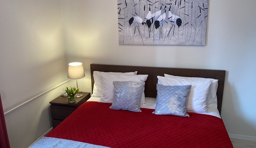 Deluxe Apartment, City View