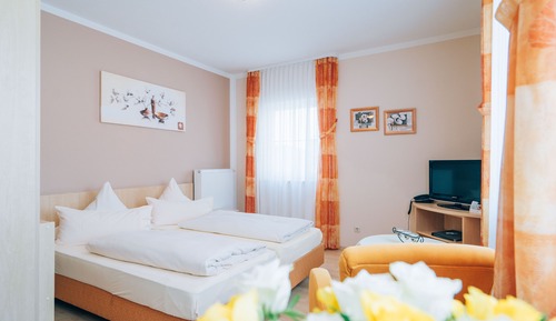Comfort Apartment