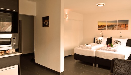 Standard Double Room Plus - Refrigerator & Microwave