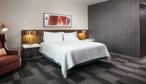 Room, 1 King Bed, Accessible (Roll-In Shower)