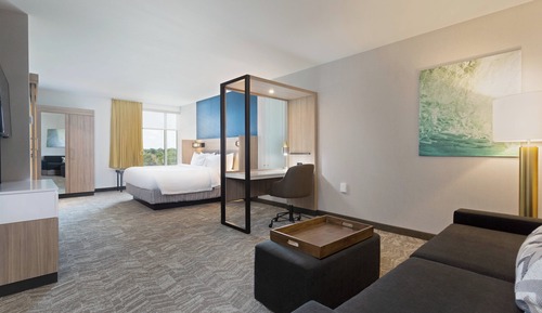 Suite, 1 King Bed (Mobility/Hearing Access, Roll-In Shwr)