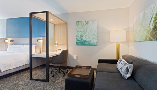 Suite, 1 King Bed