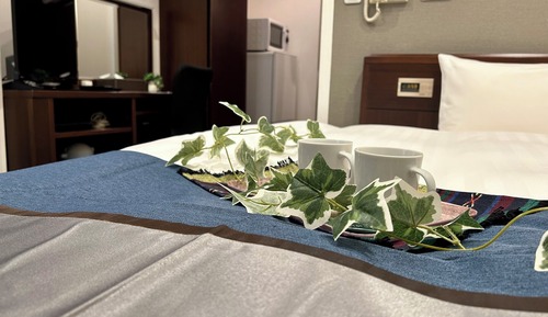Basic Double Room, Non Smoking