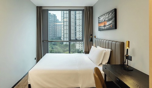 Superior Apartment King Bed Suite