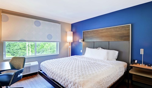 Room, 1 King Bed