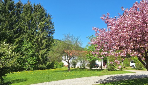 Standard Single Room, 1 Twin Bed, Courtyard View