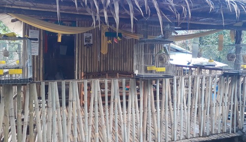Traditional Tree House