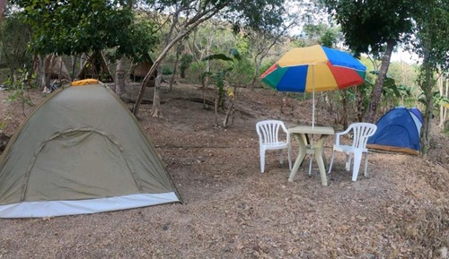 Standard Tent, Multiple Beds, Mountain View