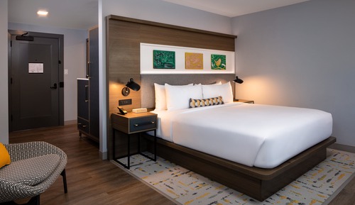 Standard Room, 1 King Bed, Mobility Accessible (Roll-In Shower)