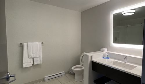 Suite, 1 King Bed with Sofa bed