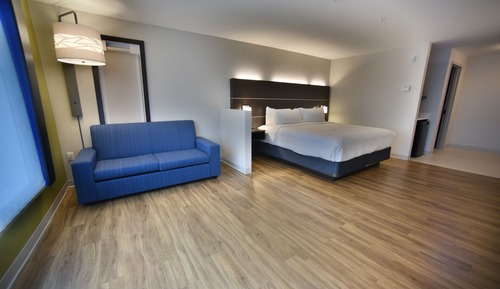 Suite, 1 King Bed with Sofa bed