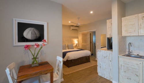 Apartment, 1 Bedroom (Queen)