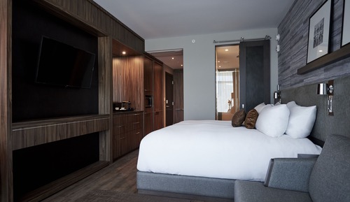 Studio, 1 King Bed, Mountain View