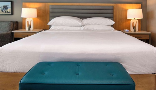 Room, 1 King Bed