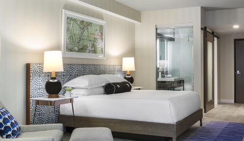 Room, 1 King Bed, Mobility Accessible (Roll-In Shower)