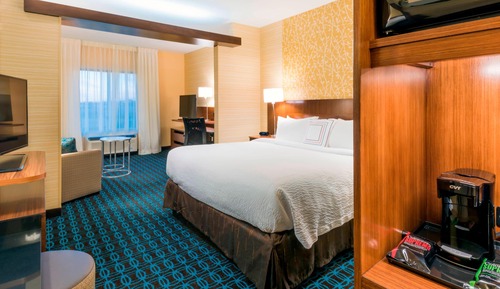 Suite, 1 King Bed with Sofa bed