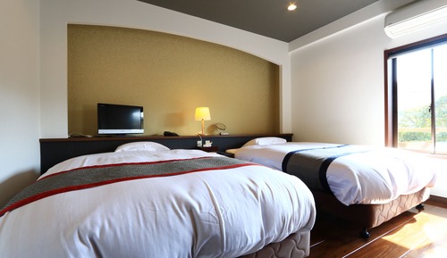 Twin Room, Non Smoking (Aioi)