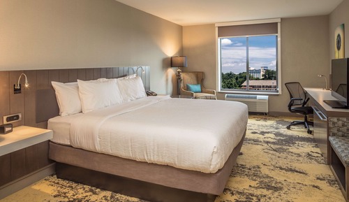 Room, 1 King Bed, Accessible, Bathtub (Mobility & Hearing)