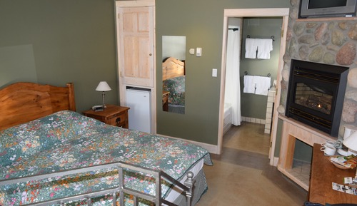 Room, 1 Queen Bed, Patio, Lakeside (101)