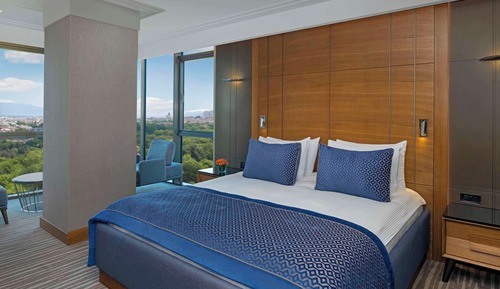 Premium Room, 1 Double Bed