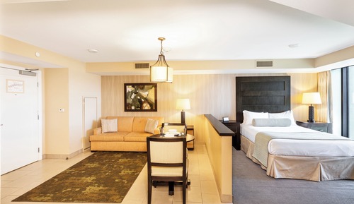 Studio, 1 Queen Bed