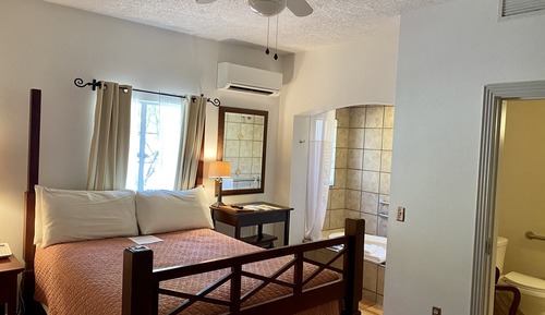 Deluxe Room, 1 Queen Bed, Ground Floor