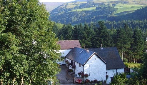 Luxury Cottage, Private Bathroom, Mountain View (Swallows Cottage)