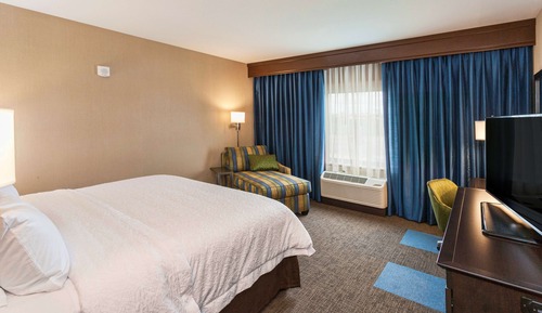 Room, 1 King Bed, Accessible, Bathtub