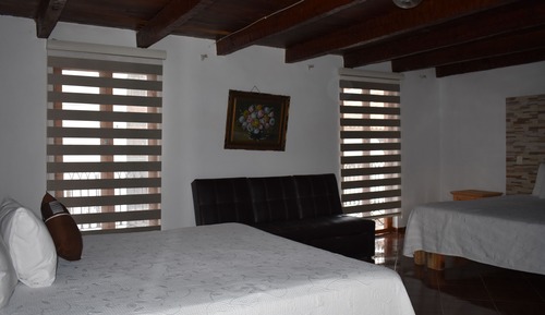 Room, Multiple Beds