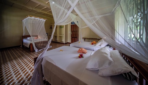 Deluxe Triple Room, Balcony, Garden View