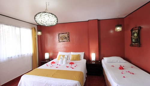 Standard Airconditioned Room
