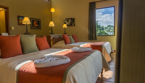 Superior Room, Mountain View