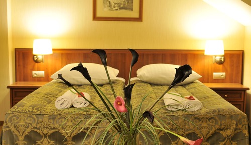 Double or Twin Room, Accessible