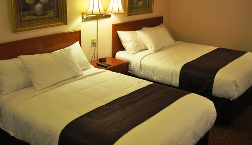 Standard Double Room, 2 Queen Beds