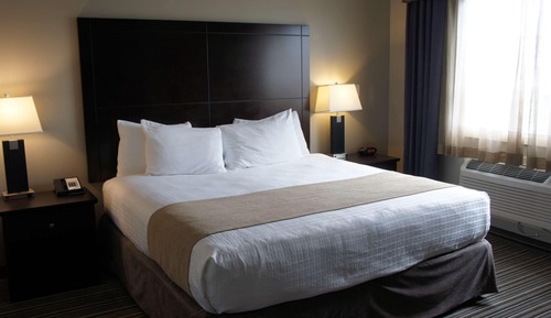 Standard Room, 1 King Bed, Non Smoking, Refrigerator & Microwave