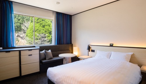 Superior Double Room, Non Smoking (No Parking)