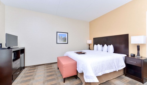 Room, 1 King Bed, Accessible, Non Smoking (Roll-in Shower)