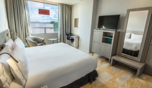 Business Single Room (Executive)