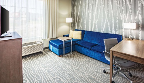 Deluxe Room, 1 King Bed, Accessible, Non Smoking (Mobility/Bathtub w/ Grab Bars)