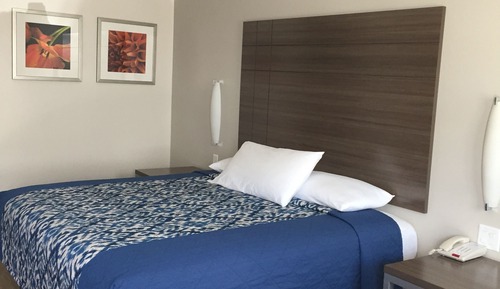 Standard Room, 1 King Bed, Non Smoking