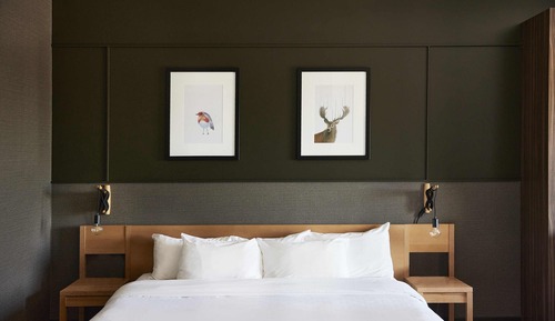 Executive Studio Suite, 1 Queen Bed with Sofa bed