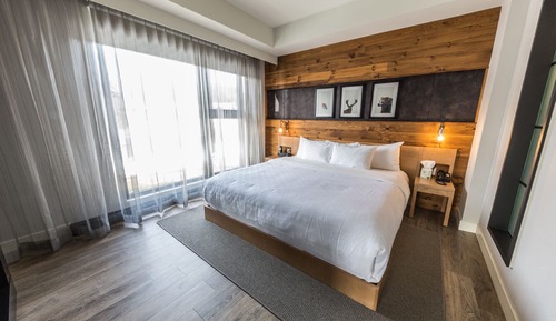 Signature Room, 1 King Bed with Sofa bed