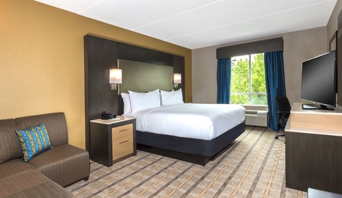 Standard Room, 1 King Bed, Accessible, Non Smoking (Refrigerator)