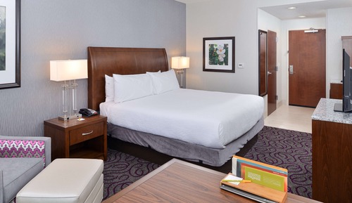 Room, 1 King Bed